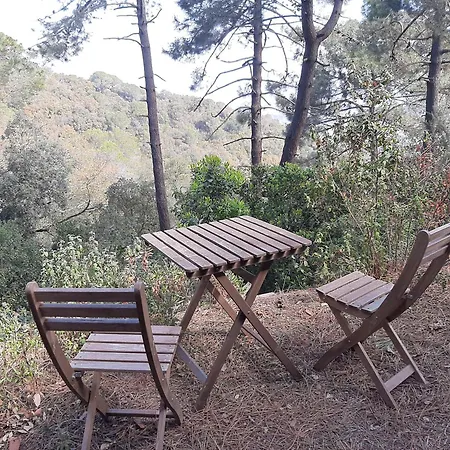 Casa Eco En Cerca De La Costa Brava Holiday home