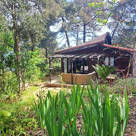Holiday home Casa Eco En Cerca De La Costa Brava