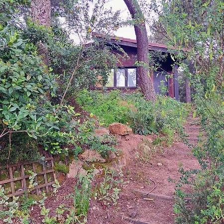 Casa Eco En Cerca De La Costa Brava * Palafolls