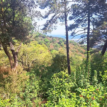 Casa Eco En Cerca De La Costa Brava Palafolls