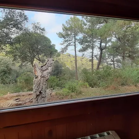 Casa Eco En Cerca De La Costa Brava Semesterbostad Palafolls