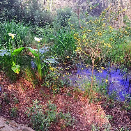 Semesterbostad Casa Eco En Cerca De La Costa Brava